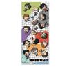 3rd Edition Face Towel M YA "Haikyu!!" [Gathering] Everyone's Mochocho-ization Mission!