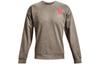 Sweatshirts Men's Gray Crew Neck Moderate Other 1361757-279