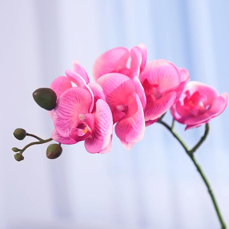 

Moisturizing Phalaenopsis simulated flower home furnishing hotel wedding decoration fake flower bonsai simulated plant рожевий