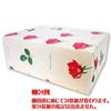 Sanritsu Seika Canned Hardtack 100g x 12