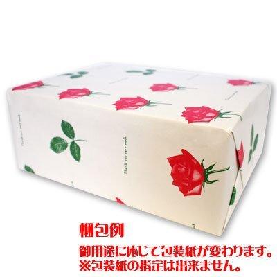 Sanritsu Seika Canned Hardtack 100g x 12