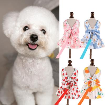 Yousheng Cute Dog Dress And Leash Set with Bowknot Decoration Pet Cat Princess Dress for Spring Summer Outdoor Activities