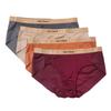 Women S Premium Hem Panty Dr6684f 4 choiceS
