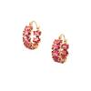 Luxurious Red Zircon Inlaid Exquisite Ear Hoops - Stylish and Light Luxury Earrings