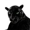 Deluxe Paws Large Black Panther Realistic Stuffed Plush Soft Toy 100cm  TA