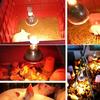 2pcs 250W Heat Lamp Red Light for Piglets Baby Chicken and Small Animals with E26 Base