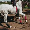 Breathable Polar Fleece Horse Leg Bandage Equestrian Supplies Special Racing Protection Leg Protector for Equine