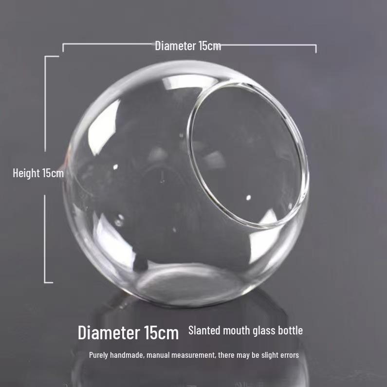 Transparent Slanted Glass Vase for Succulents and Hydroponic Flowers