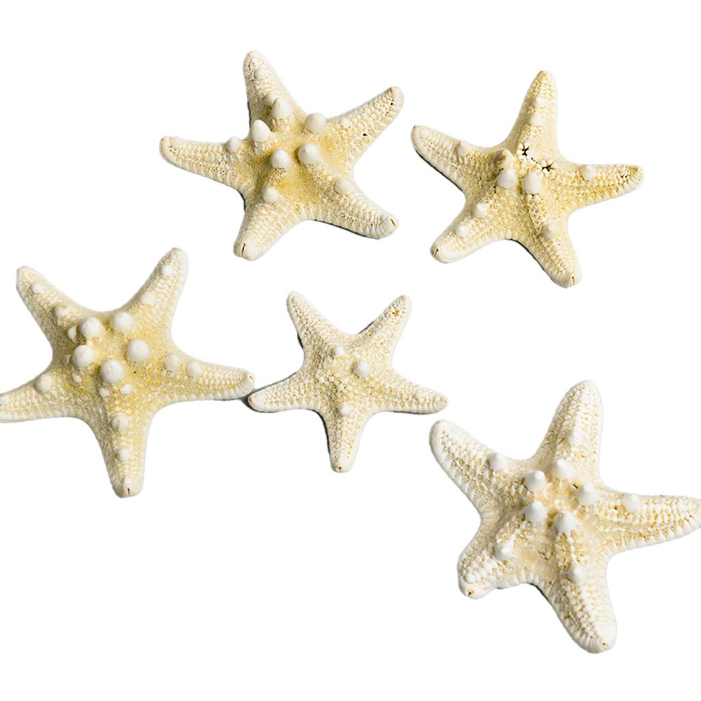 Fish Tank Starfish Decor Unique Beautiful Starfish Ornament Set for Home Aquarium DIY Photo Frame Wind Chime Type 1