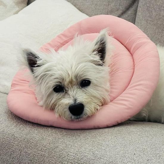 Collare Cono Morbido Regolabile a Ciambella con Coulisse Alternativa al Collare a Cono per Cani e Gatti di Taglia Grande, Media, Piccola Dopo l'Intervento