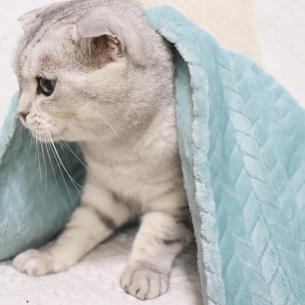 Wheat Fringe Fleece Small Blanket Pet Blanket Cat Cover Blanket Nest Cushion Dog Warm Cover Blanket Coral Fleece Blanket Thickened Blanket