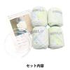 Sawada Knitting Kit Clear Handle Bag Kit Lemon Squash "NAILY A-001"