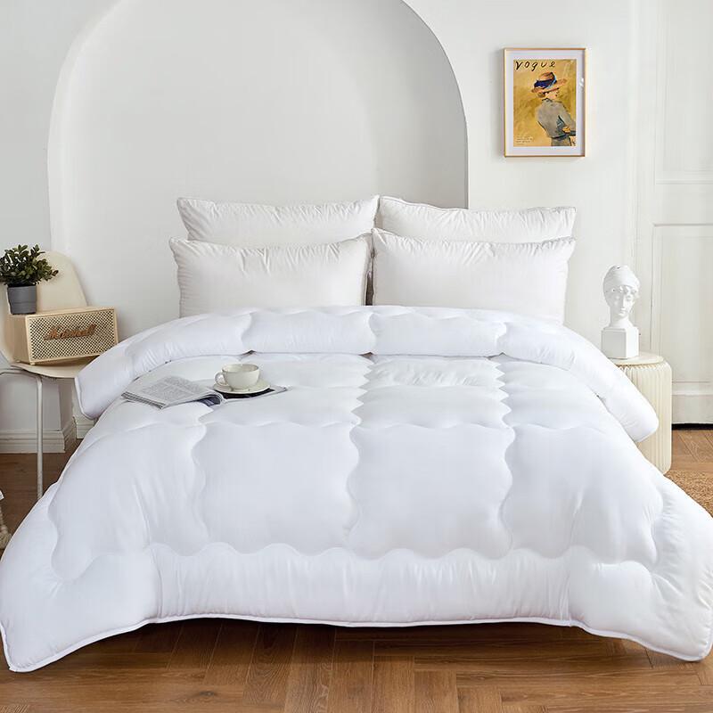 

Dohia All-Season Comfort Thickened Quilt