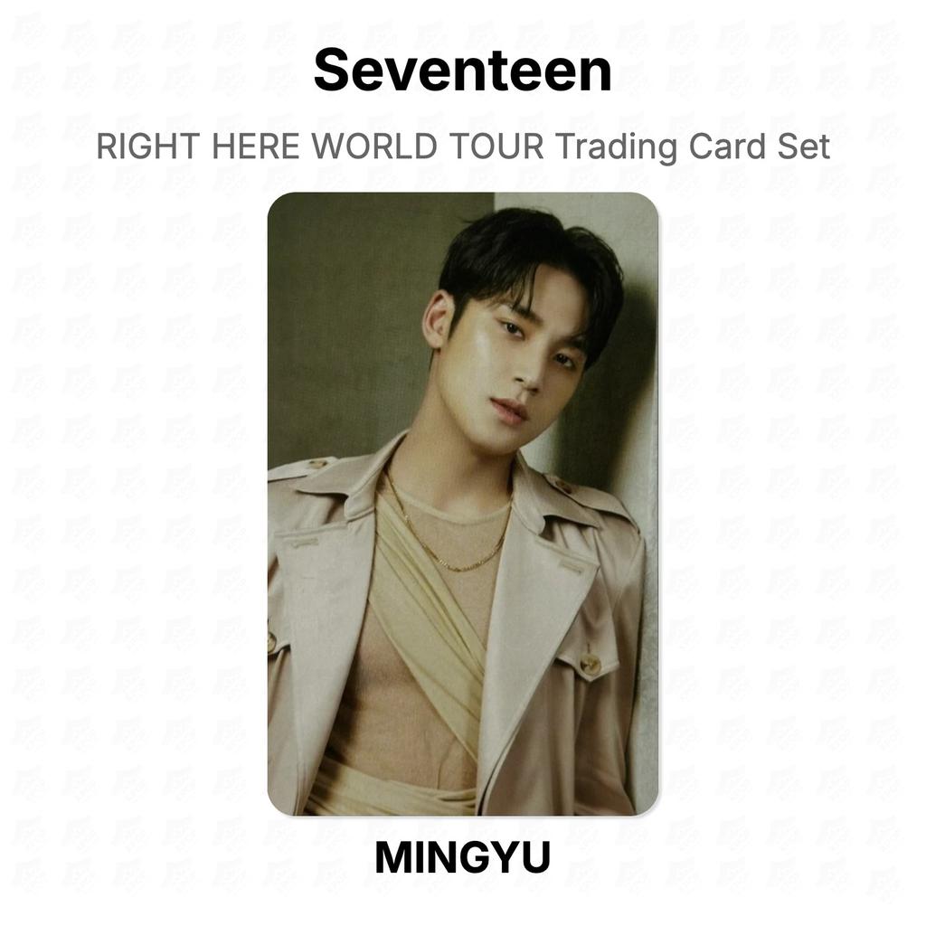 Seventeen RIGHT HERE WORLD TOUR Trading Card Set Official Photocard