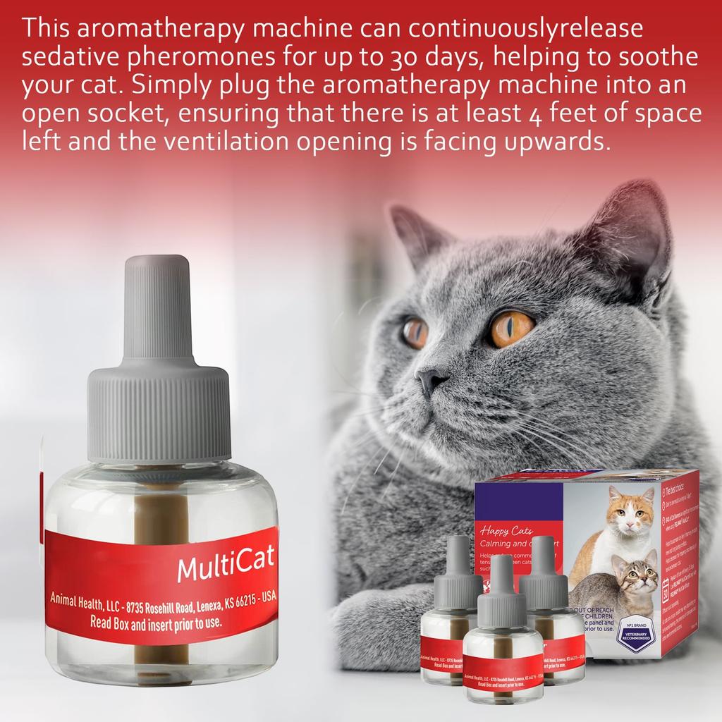 48ml Diffuser Refill | Maintain And Among Cats At Home