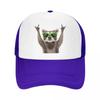 Custom Funny Green Sunglasses Raccoon Trucker Hat for Unisex Women Adjustable Unisex Baseball Cap Outdoor Dad Hat