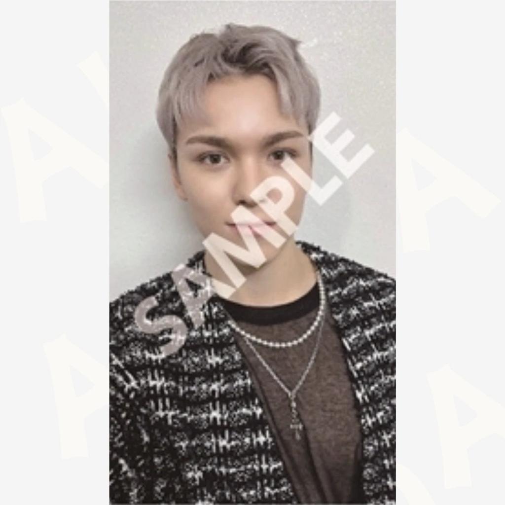SEVENTEEN FML 2023 JAPAN FAN MEETING LOVE JAPAN TOKYO OSAKA OFFICIAL Photo Card