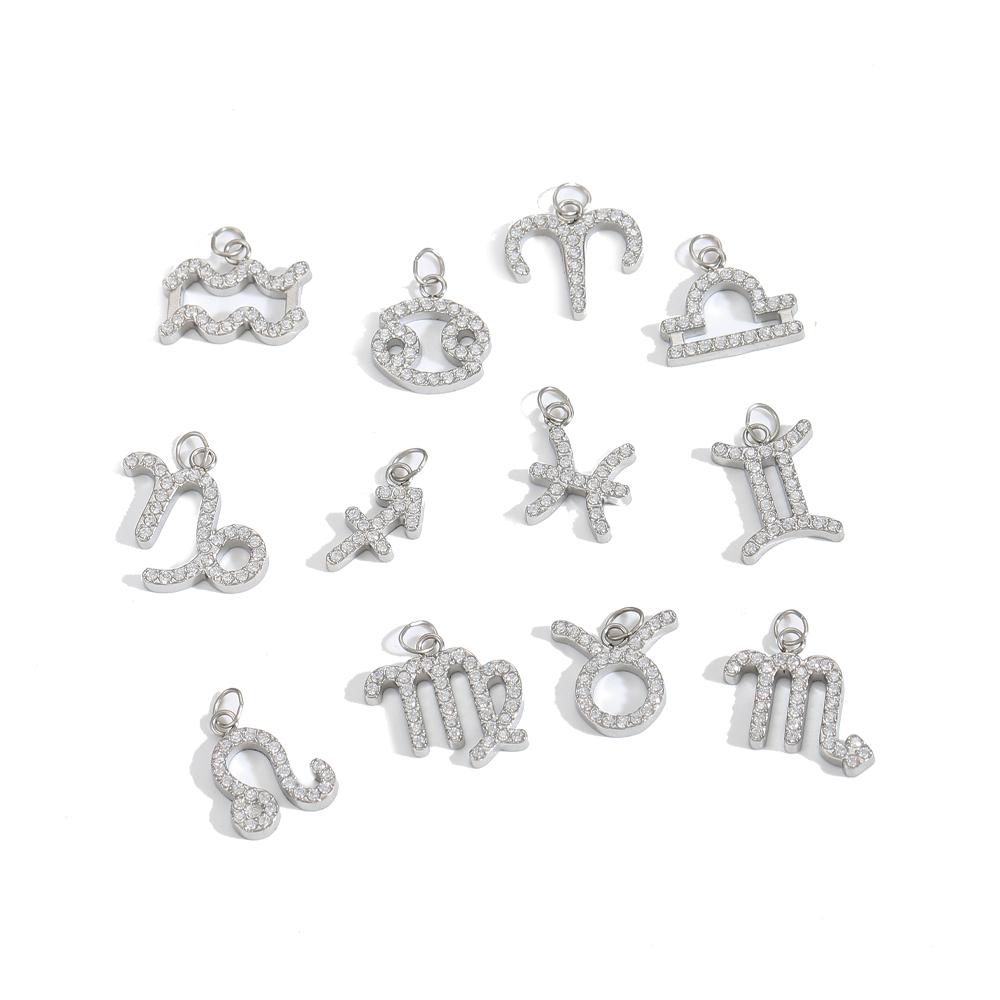 CARLIDANA Hot-Selling Stainless Steel Pendant 12 Zodiac Silver Color Pendant DIY Jewelry Accessories Necklace Pendant Charms
