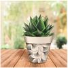 Les Trésors De Lily [A2056] - Black Beige 'Ginkgo Biloba' Bamboo Planter - 17x15 Cm