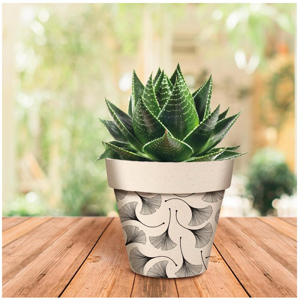 Les Trésors De Lily [A2056] - Black Beige 'Ginkgo Biloba' Bamboo Planter - 17x15 Cm