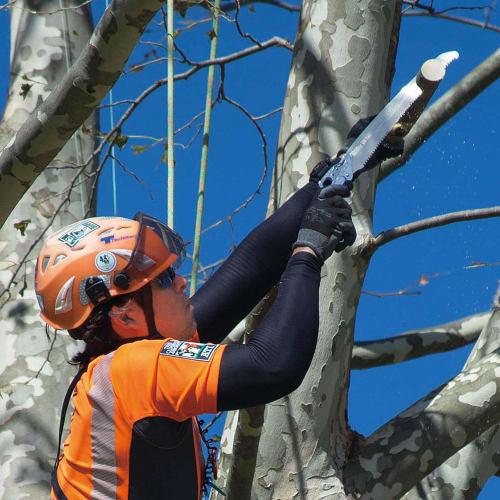 U-M Industries (Silky) Scabbard Saw Gunfighter Curve 270 472-27 Curve that can be used for everything from civil engineering work to bamboo felling