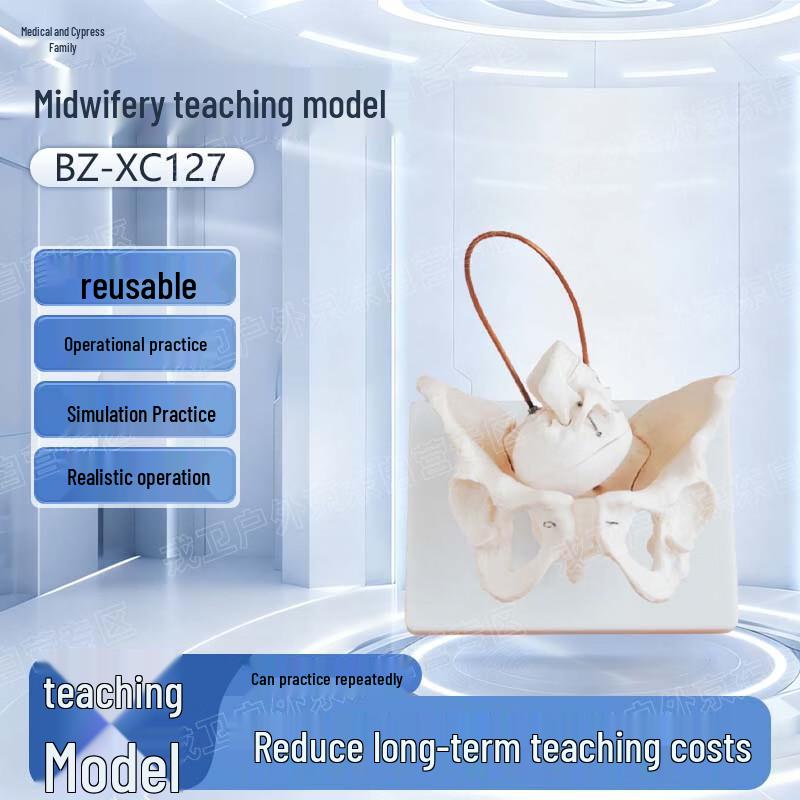 Yibaike Realistic Midwifery Teaching Model