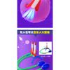 Glowing Soaring Rocket Foot Stepping Rocket Launcher Toy Flying Small Rocket Soaring Cannon Outdoor Outdoor Toy