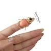 Punk Style Retro Insect Ring Macaron Color Enamel Beetle Ring Beetle Opening Ring  Decoration