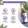 Sesa Rosemary Essential Oil 30ml For Hair Growth & Skin, Natural Hair Fall Control Oil For Men & Women, Pure Aromatherapy Diffuser Oil