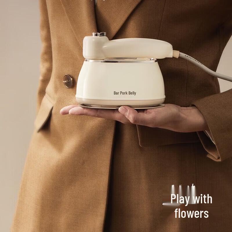 Little Bear Handheld Garment Steamer