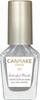 Canmake Nail High Color Fast Dry 8ml N97 Mizutamari Water Blue Pearl