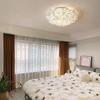 2025 Modern Minimalist Petal Ceiling Light - Full Spectrum, Warm & Romantic for Master Bedroom