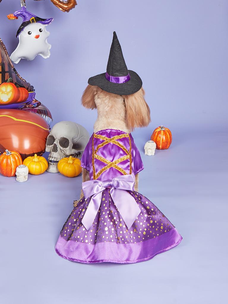 Vestido de Cachorro para Halloween com Chapéu de Bruxa Tema de Feriado Vestidos de Festa de Feriado para Cachorros Pequenos Menina Fantasia de Gato para Halloween Ajustável