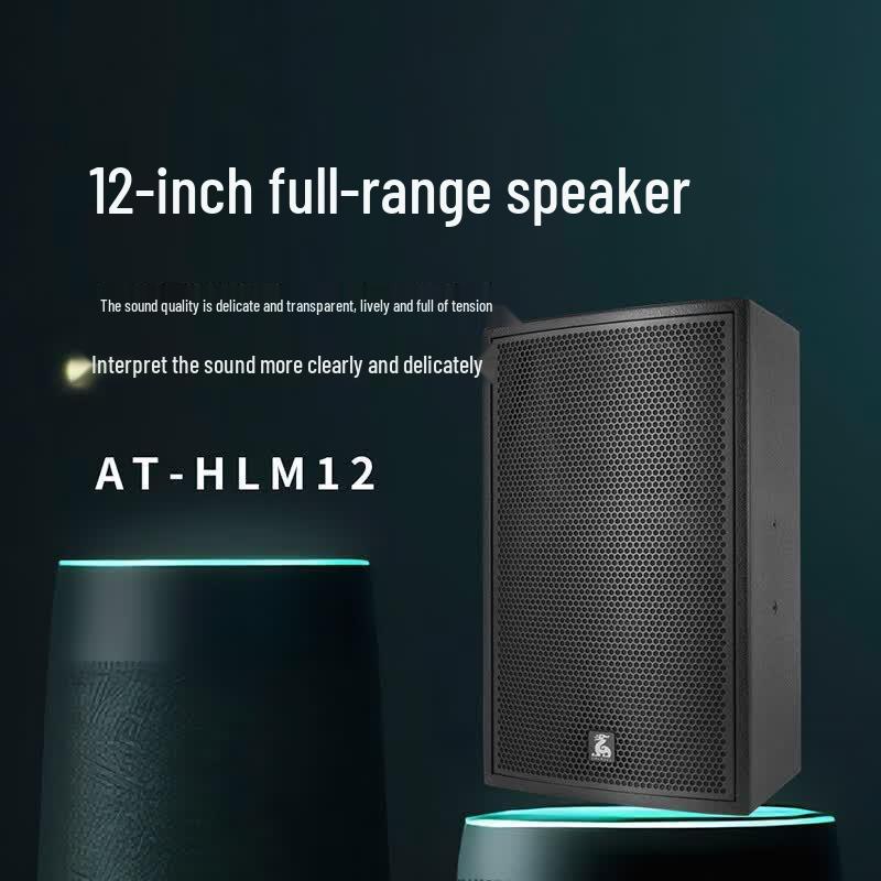 FionTu 12-inch Full-range Conference Speaker (CN Version)