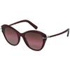Tom Ford Womens/Ladies Leigh Shiny Sunglasses