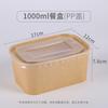 Disposable Picnic Box