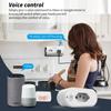 Graffiti Smart WiFi Socket 16A Spina brasiliana Misurazione in tempo reale Statistiche App mobile Controllo remoto vocale temporizzato