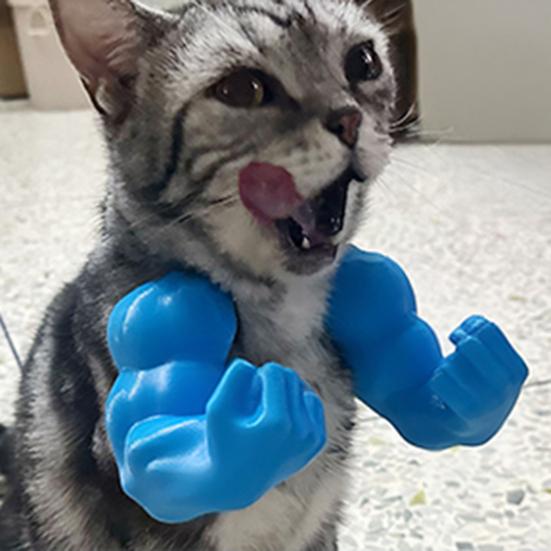 2Pcs Cat Muscular Arm Costume Cat Neck Arm with Muscle 3D Printed Superhero Cosplay Pet Spoof Toy Funny Cat Photo Prop Accessory