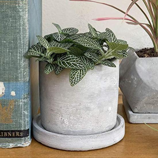 Dulton Cement Planter Round with Drain CEMENT POT ROUND Pot, Small, Type, Hole, G20-0219S