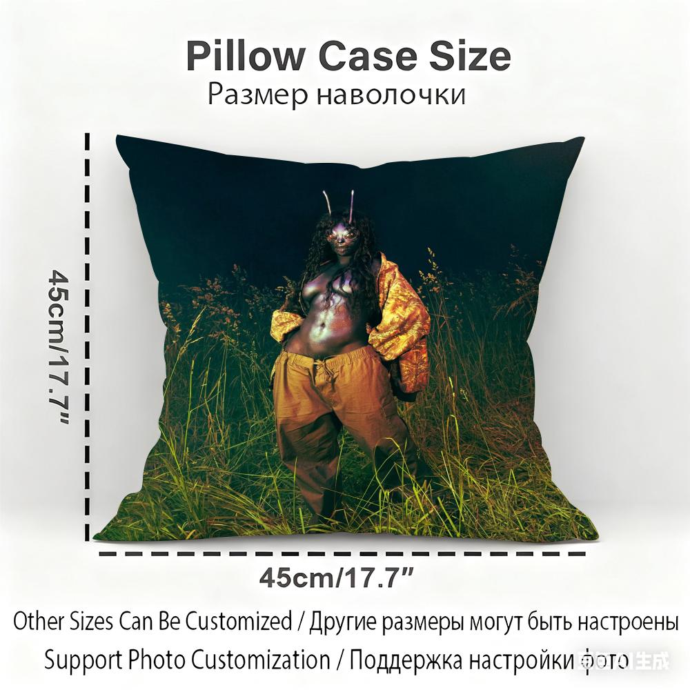 SZA Album Cushion Cover Household Decoration Linen Sofa Cushion Cover: Skin-Friendly & Breathable with Invisible Zipper