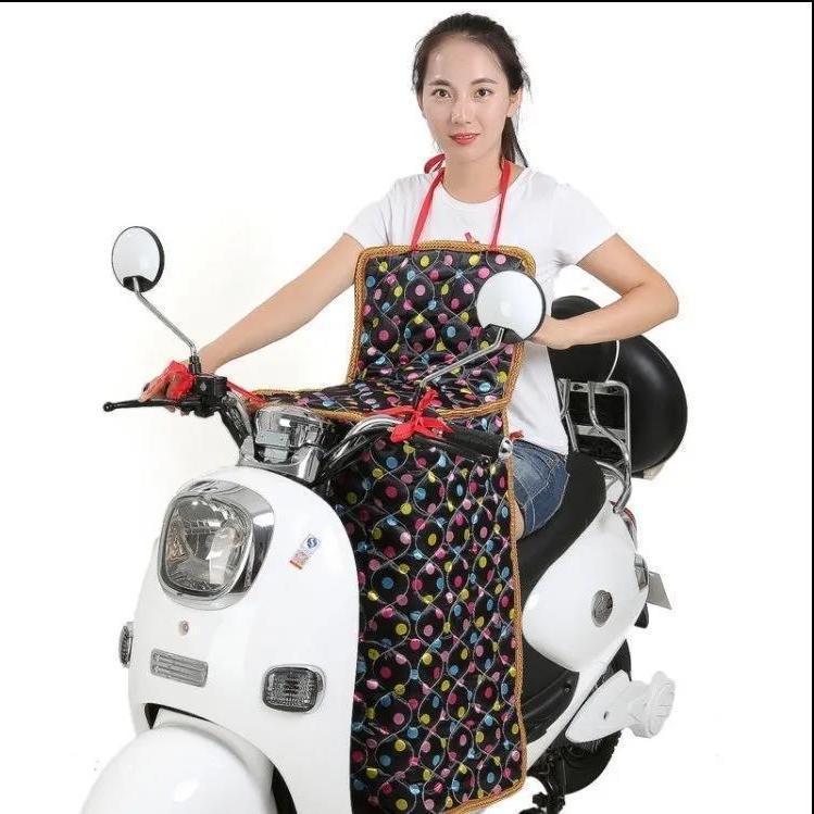 Universal All-Season Waterproof Electric Vehicle Windshield Cover - Plush, Thickened & Windproof for Winter Use