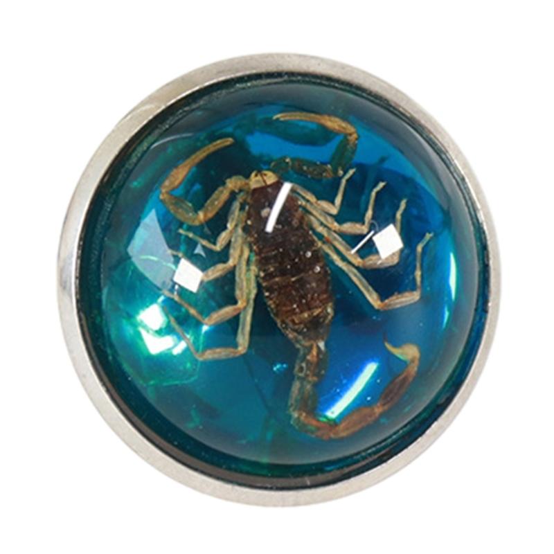 

Кольца-открывашки Скорпион Разноцветные Кольца на указательный палец с круглым дном Модные ювелирные изделия Подарок на день рождения для женщин мужчин