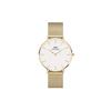 Daniel Wellington [Official Shop/2-Year Warranty/Authentic Import] DW Watch for Men and Women, Petite Evergold YG, 36mm, Stylish, Popular, Cute Mesh W