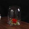 Fresh-keeping Micro Landscape Bottle Dust-proof Transparent Glass Cover  Bedroom