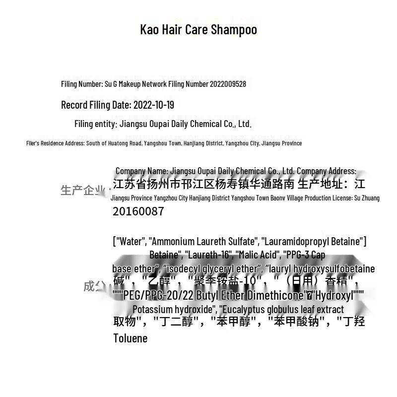KAO Oil Control & Volumizing Hair Care Shampoo