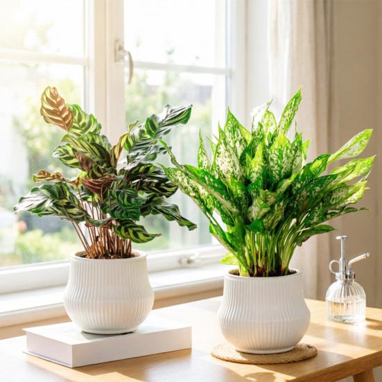 Automatic Water-absorbing Flowerpot with Vertical Grain Texture White Nordic Style Flower Pot for Home Decor