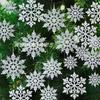 12-Piece Glitter Snowflake Ornaments for Christmas Decorations