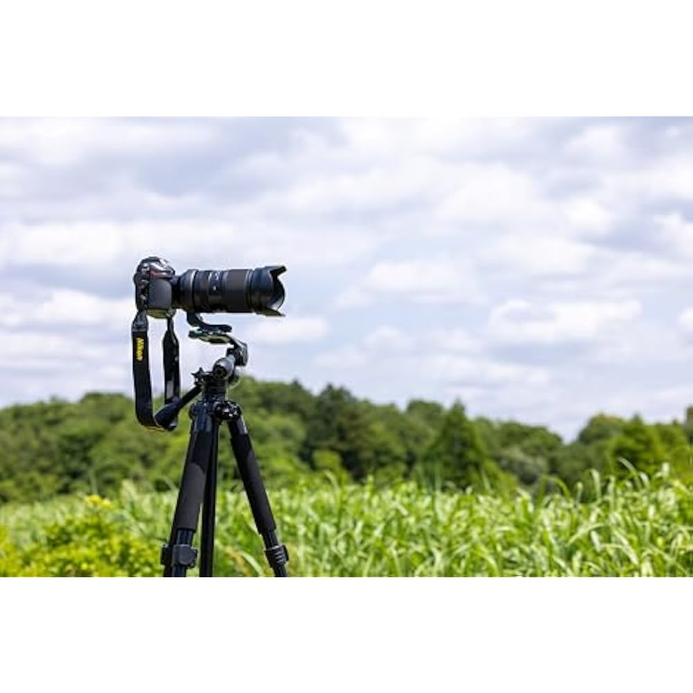 Tamron 50-400mm F/4.5-6.3 Di III VC VXD for Nikon Full Frame Mirrorless Cameras