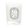 Candle Figue - (Fig Tree) 70g/2.4oz