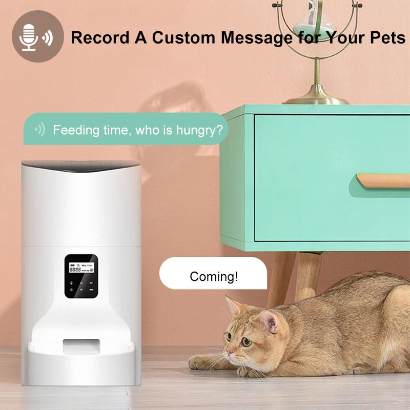 bluetooth cat feeder